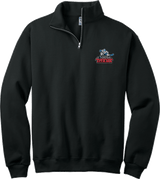 NJ Titans NuBlend 1/4-Zip Cadet Collar Sweatshirt