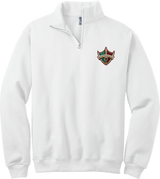 Delaware Ducks NuBlend 1/4-Zip Cadet Collar Sweatshirt