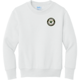 CT ECHO Stars Youth Core Fleece Crewneck Sweatshirt