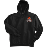 Princeton Tiger Lilies Ultimate Cotton - Pullover Hooded Sweatshirt