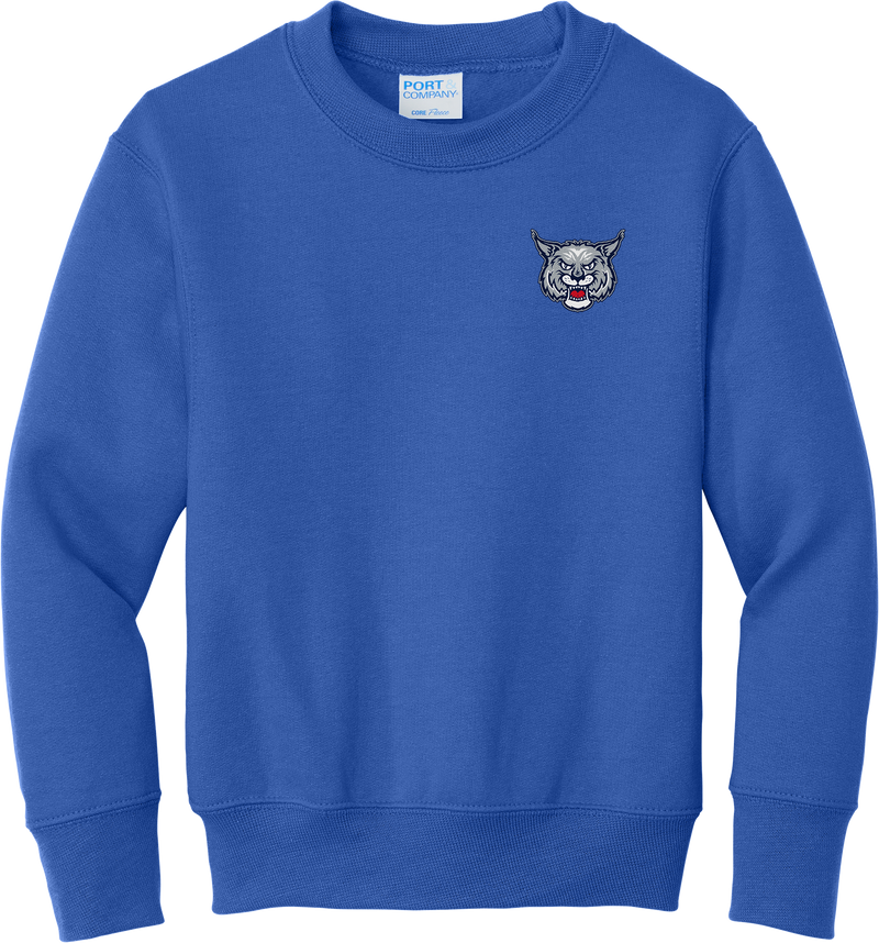 CT Bobcats Youth Core Fleece Crewneck Sweatshirt